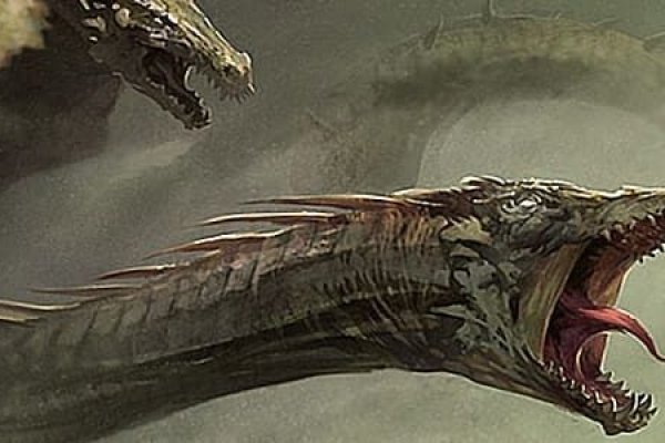 Kraken onion link