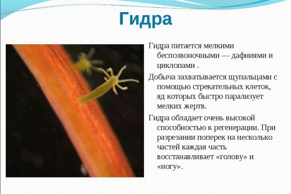 Ссылки мега кракен