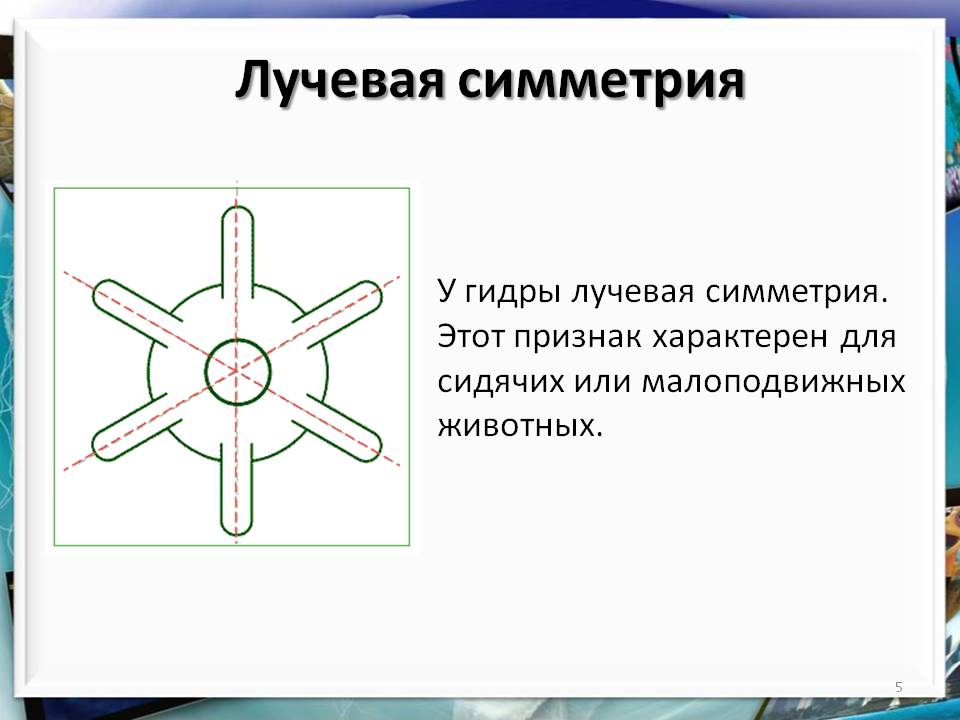 Рабочее зеркало кракен