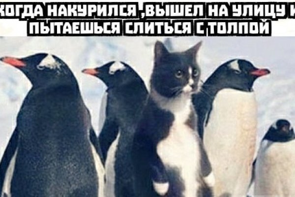 Kraken ссылка onion 2kmp